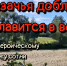 Казачья доблесть славится в веках - ЦБС Кропоткинского городского поселения